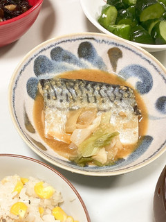 サバの味噌煮-レシピのメイン写真