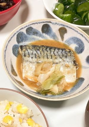 サバの味噌煮-レシピのメイン写真