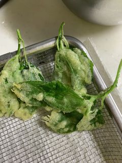 モロヘイヤの天ぷら-レシピのメイン写真