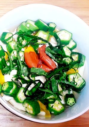 出汁はレンジで作る！鶏飯♪-レシピのメイン写真