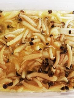 ミニしめじのからし和え-レシピのメイン写真
