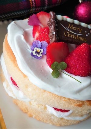 華やかクリスマスネイキッドケーキ♪-レシピのメイン写真