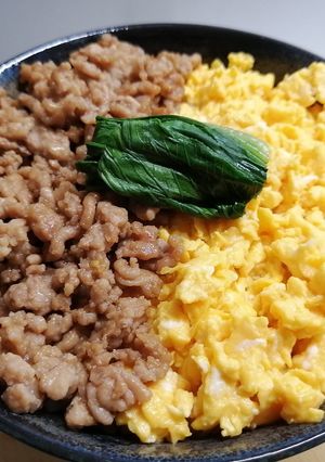 豚そぼろ丼-レシピのメイン写真