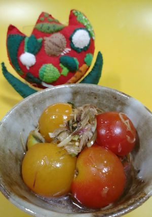 ミニトマトとみょうがのぽん酢和え-レシピのメイン写真