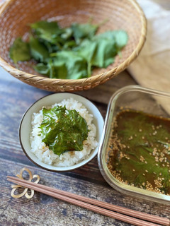 ☆大葉の醤油漬け☆-レシピのメイン写真