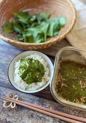 ☆大葉の醤油漬け☆-レシピのメイン写真