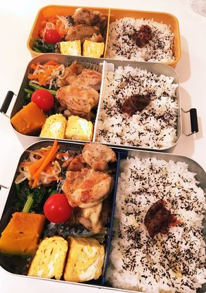 家族弁当　23/7/24-レシピのメイン写真