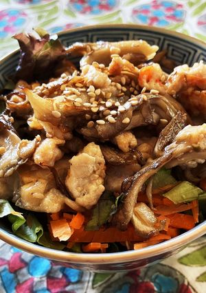 鳥ミンチ丼-レシピのメイン写真