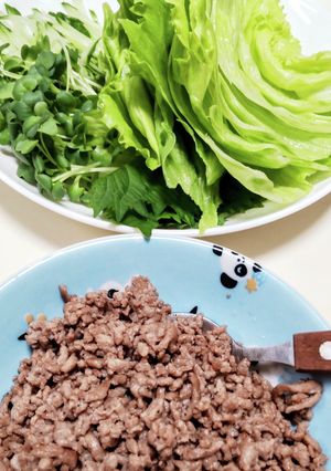 お好きな野菜で巻きまき~♡ソースもお好み-レシピのメイン写真