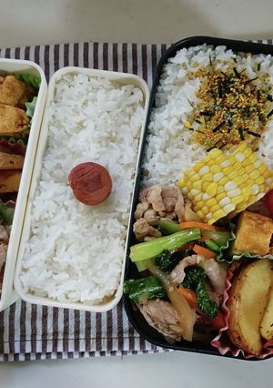 野菜炒め弁当(7.24)-レシピのメイン写真