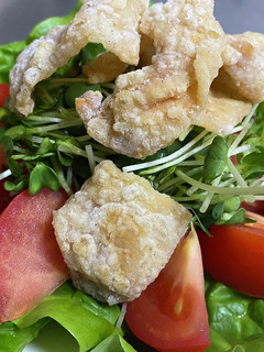 鶏皮が香ばしい!パリパリ・さくさくサラダ-レシピのメイン写真