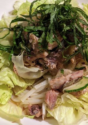 サバ玉サラダうどん(冷)-レシピのメイン写真