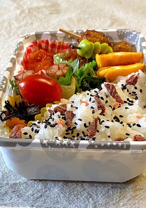 日の丸弁当でなく、ポツポツ梅干しご飯弁当-レシピのメイン写真