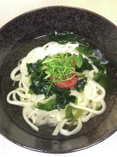 夏にぴったり♪冷やし梅うどん♪-レシピのメイン写真