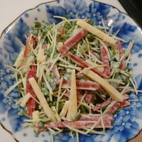 基本からアレンジまで！思わずつくりたくなる「サラミ サラダ」の