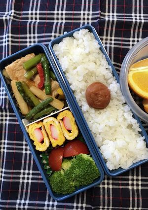 20230725マイ弁当-レシピのメイン写真