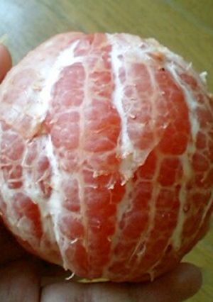 フルーツの皮がトゥル～ン☆-レシピのメイン写真