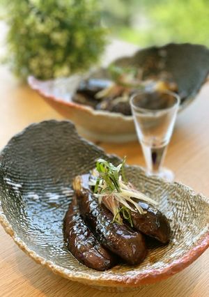 やみつき黄金比・旬の茄子の焼きびたし-レシピのメイン写真
