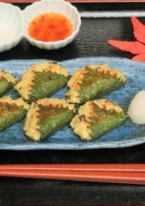 キノコ三昧大葉餃子-レシピのメイン写真