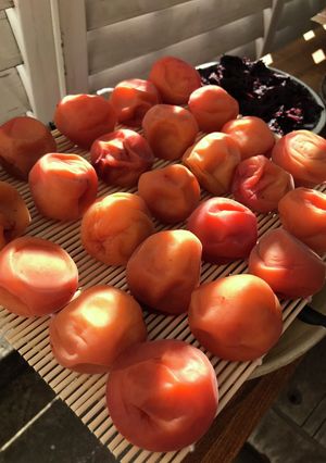 梅干し日記-レシピのメイン写真