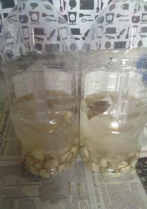 2023年の生姜酒の仕込み-レシピのメイン写真