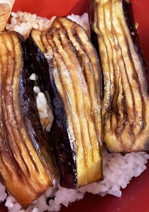 気分鰻重/ナス丼-レシピのメイン写真
