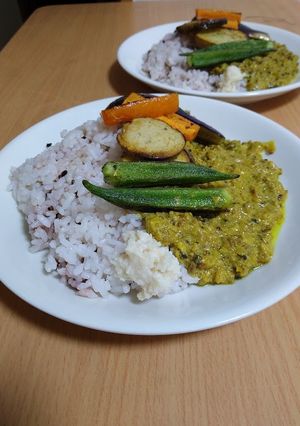 飯と3つのスパイスミルクカレー-レシピのメイン写真