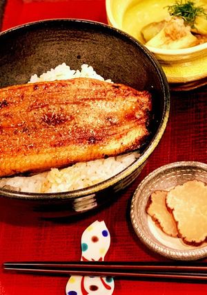 うなぎをおいしく温める方法-レシピのメイン写真