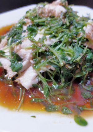 お手軽！鶏むね肉と豆苗のレンジ蒸し-レシピのメイン写真