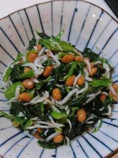 簡単!美味♪ほうれん草しらす納豆の和え物-レシピのメイン写真
