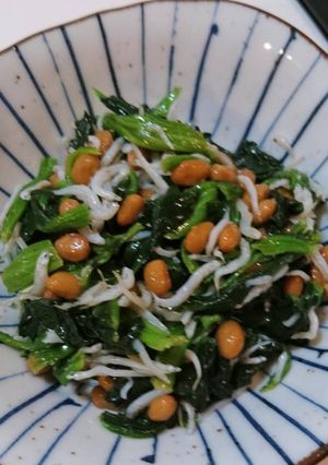 簡単!美味♪ほうれん草しらす納豆の和え物-レシピのメイン写真