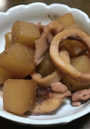 イカと大根の煮物-レシピのメイン写真