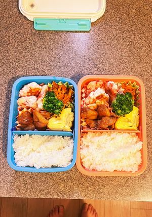 7/31 弁当 とりてり-レシピのメイン写真