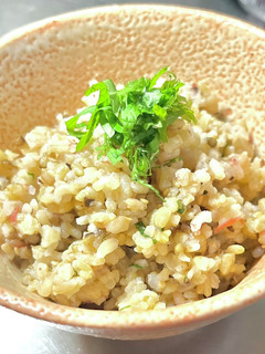 蒼の元米の梅ご飯~暑気あたりに-レシピのメイン写真