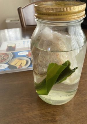 放っておくだけ 水だし-レシピのメイン写真