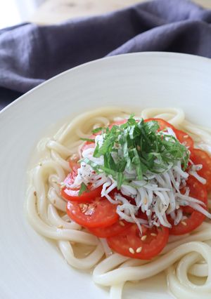 釜揚げしらすとトマトの冷やしうどん-レシピのメイン写真