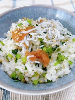 小松菜としらすの混ぜご飯-レシピのメイン写真