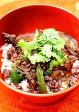 ゼブラ長茄子とハラペーニョのエスニック丼-レシピのメイン写真