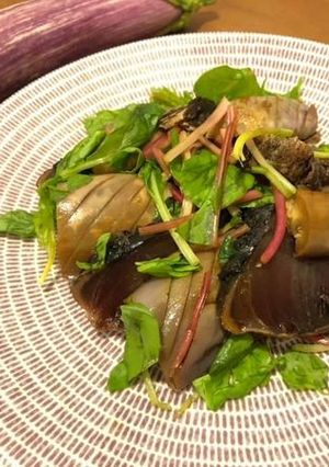 ゼブラ長ナスと鰹のカルパッチョ-レシピのメイン写真