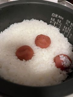 梅干しの炊き込みご飯-レシピのメイン写真