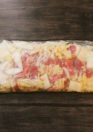 下味冷凍★豚肉の塩にんにく漬け-レシピのメイン写真