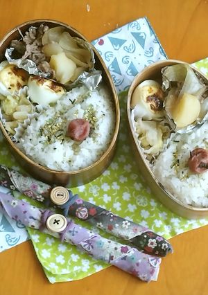 お弁当2023年8月4日-レシピのメイン写真