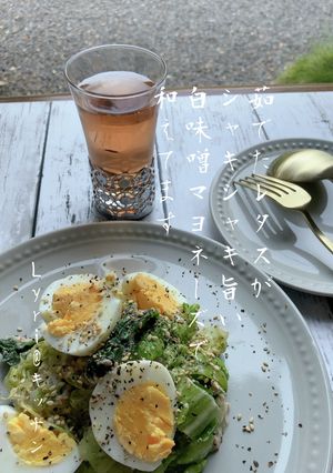 ☆シャキシャキ！レタスのおひたしサラダ☆-レシピのメイン写真