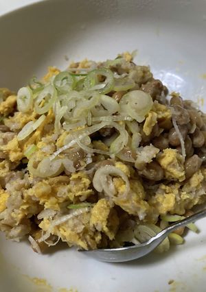 ネギたっぷり納豆オートミール-レシピのメイン写真