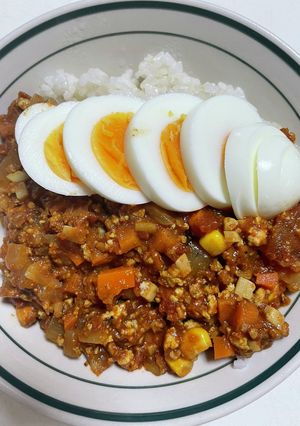 豆腐入り節約ドライカレー-レシピのメイン写真