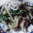 もやしとほうれん草の簡単和風サラダ