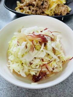 キャベツとみょうがの浅漬け-レシピのメイン写真