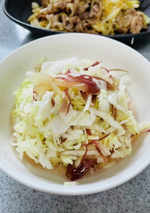 キャベツとみょうがの浅漬け-レシピのメイン写真