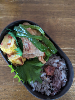 JK☆豚肉の玉ねぎポン酢炒め弁当♪-レシピのメイン写真