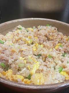 ネギ塩焼飯-レシピのメイン写真